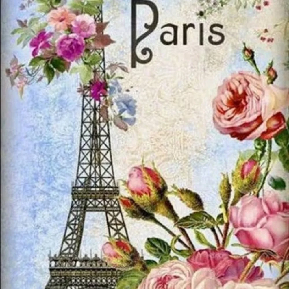 Paris Wall Hook Sparkling Hanger Organizer Jewelry Lingerie Rhinestone Gem Black